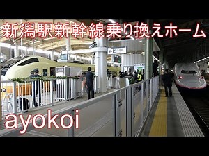 新潟駅高架駅第一期開業 新幹線・在来線乗り換えホーム【4K】