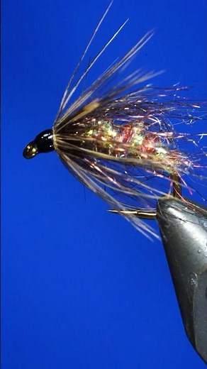 Top Stillwater Fly Patterns: Kamloops Soft Hackle Caddis Pupa #flyfishing #troutfly #sedgefly