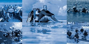 DAN World Liability Insurance