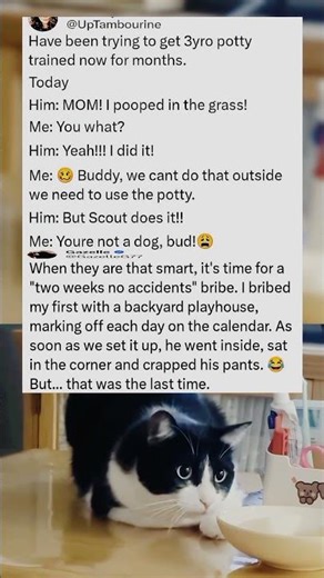 I tried bribing my toddler with a playhouse… what happened next will make you scream 😭