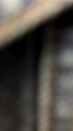 Chick Saddlery - Retail Store on Reels | Facebook