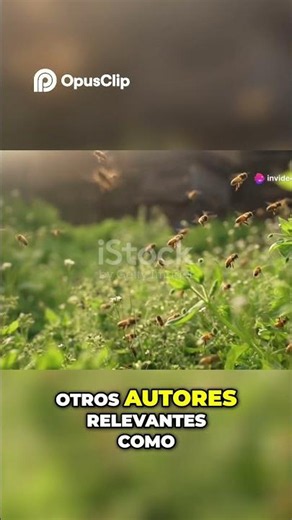Incredible! The birds and their amazing 9 km flight! #Apiary #Feeders #Beekeeping
