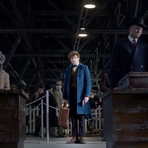 Magizoologist Newt Scamander is the first of his kind, traveling the world to find and document magical creatures. #FantasticBeasts | Fantastic Beasts