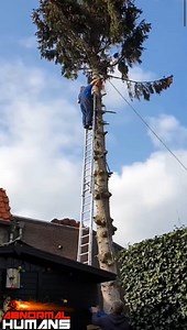 234K views · 1.8K reactions | "IDIOT WITH CHAINSAW" #AbnormalHumans | ABNORMAL HUMANSᴵⁿˢᵃⁿᵉᴮʳᵃⁱⁿ | Facebook