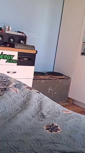 Targa Bass Speaker Review: Unleashing 32Hz Power