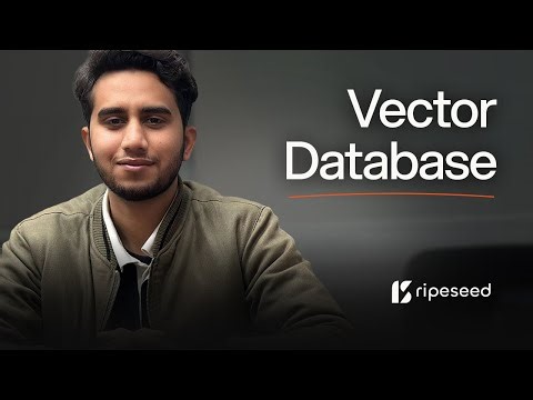 When Vector Databases are the right choice and when to avoid them ft. Afaq Ahmad | RipeSeed