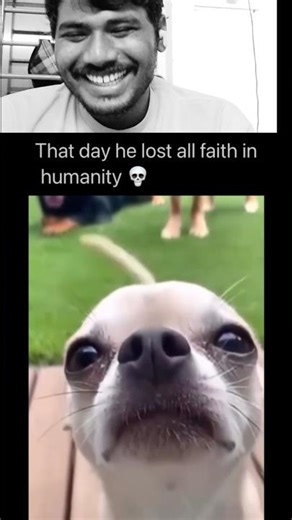 😂 #funny #comedy #humar #laughing #shorts #funnyshorts #youtubeshorts #trending #reels