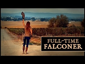 Full-Time Falconer | Falconry Abatement