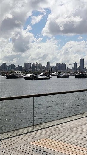 Canon EOS 850D vertical video sample