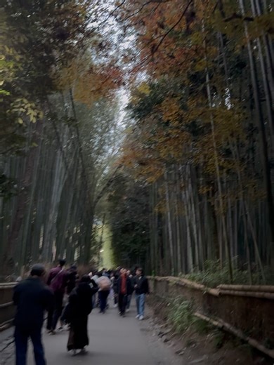 Paula Fandiño on Instagram: "Entre templos, silencio y alma. ⛩️"