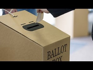 Preferential voting system ‘protects’ major parties, not voters: Dimitri Burshtein