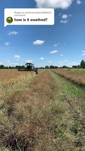 Combine Harvester in Action: Crop Harvesting Explained