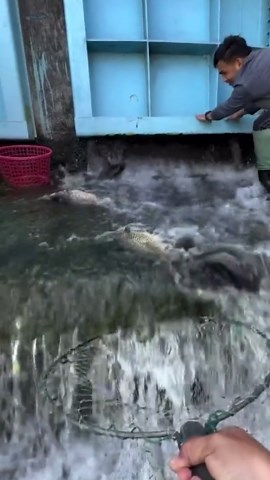 Astonishing Fishing Moments Using Various Techniques