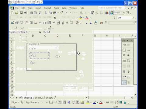Microsoft Excel - Multiple Choice Question