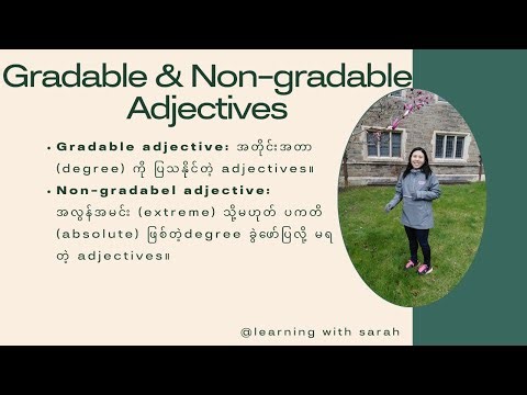 Gradable & Non-gradable Adjectives 🐼