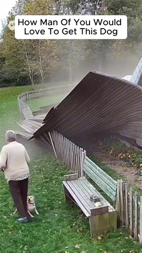 Meet the dog of the future – 2025’s top pup! 🐕✨ #aidog #reels #fyp #futuredog | I Love Paws