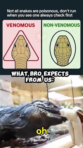 Use this sound ☠️