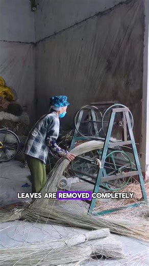 How vietnam people process sedge tall grass into a mat #vietnam #people #process #grass #reelsviralシ | Lee Yumi