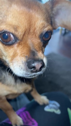 Barbara Olson on TikTok