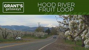 How to spend a day exploring Oregon's 'Fruit Loop' in Hood River