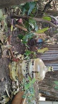 How to Make Free Unlimited Water Bottle Drip Irrigation System