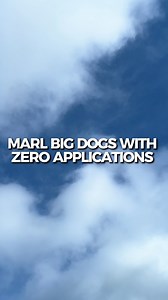 These lovable pups at MARL currently have zero applications. Let’s help them find their forever homes! 🐾❤️ Like, comment, share, follow our page, and message us for more info. Together, we can make a difference! #AdoptDontShop #RescueDogs #ShelterPets #MississippiRescue #RescuePets #DogAdoption #ExplorePage #Mississippi #NewDog #GermanShepherd #MixedBreed #PointerDog #Pointer #Bulldog #BulldogMix #Pets | Mississippi Animal Rescue League