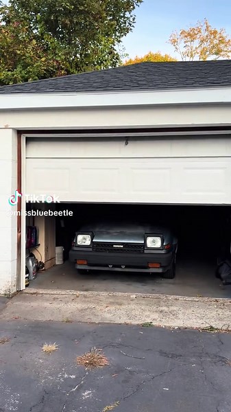 Miss Blue Beetle Co. (@missbluebeetle)’s videos with Mr. Clean - Yung Gravy