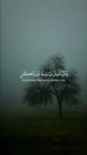 surah Al ghafir|سورۃ الغافر|in beautiful voice with English translate#recitation#quran#surahalghafir