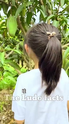 586K views · 10K reactions | Wait For End  ~ mini wood toy-woodworking art skill/wood / hand crafts / #shorts #funny #viralreels | Funny No 1 | Facebook