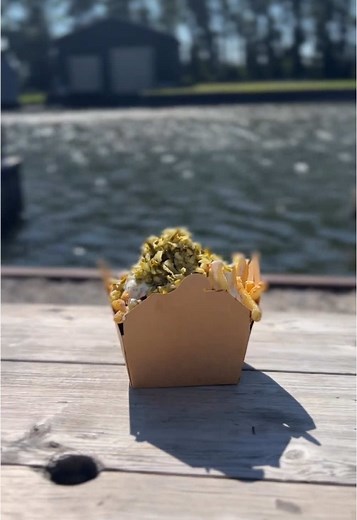 Exciting News from Chip Ship Food Truck