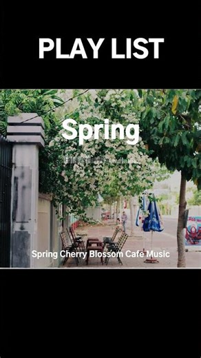 Relaxing Spring Playlist 🌸 Cafe Music for Reading, Calm Mind & Focus #cafemusic