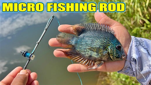 Exotic Fish on a Micro Rod? Monster Mike Pulls It Off!