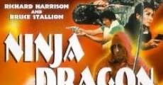 Ninja Dragon (1986)  - Ver Película Completa en Español / Castellano - FULLTV