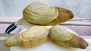 The Best Recipe Elephant Trunk Snails Cutting Sashimi | Amazing Food Taste