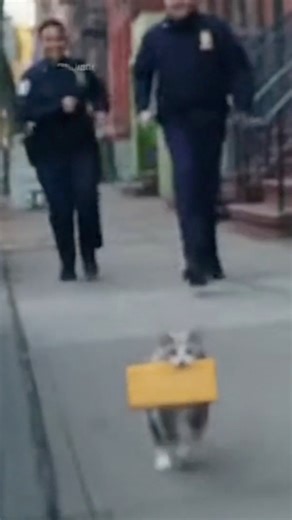 Unbelievable Facts That Will Blow Your Mind😳🤯#RandomFacts #WeirdTrivia #SurprisingInformation #DidYouKnow #FunFacts | Rare Viral Facts