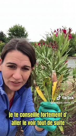 TikTok - Make Your Day