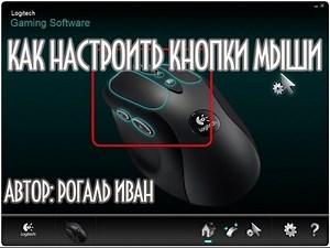 How to customize your mouse and mouse buttons