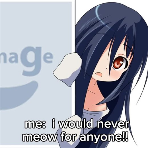 Explorando os Solarballs e a Energia Solar