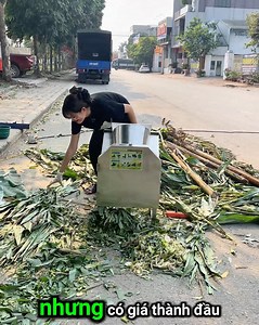 4.7K views · 23 reactions | Băm 5 tạ cỏ voi mỗi giờ cho đàn bò 20 con ăn chỉ với máy băm cỏ inox c200 động cơ chỉ 1,5kw 1pha #binhquangroup #bqg #nongnghiep #channuoi #maybamco | Bình Quân Group - Máy Nông Nghiệp | Facebook