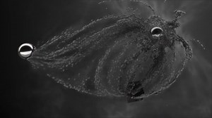 Particles in Electric Field
