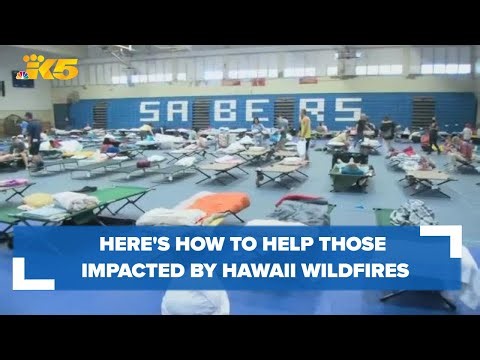 Here's how to help those impacted by the Hawaii wildfires