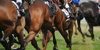 Pronostics quinté du Lundi 27 Février - Prix de Grasse - R1C1