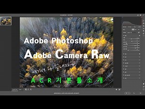 Let's learn the basic tools of ACR [Adobe Camera Raw] #AdobePhotoshop2025 #PhotoshopTutorial #Pho...