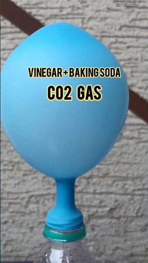 Wait... Who blew up the balloon? 🤔🧪 Vinegar + Baking Soda = Science Magic! #scienceexperiment #fun