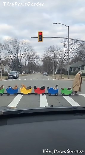 Unexpected Cat Wagon Train Passes Through the Crosswalk 😺🚶‍♀️🚋 😂 100% AI video for fun & laughs! Every scene is digitally created — no real animals, babies, or people. 🐾 Enjoy and share! 🚫 No reuploads. #AIreel #AIfunny #AIanimals #AIfun #CreativeAI #AIvideo #AImagic | Tiny Paws Garden