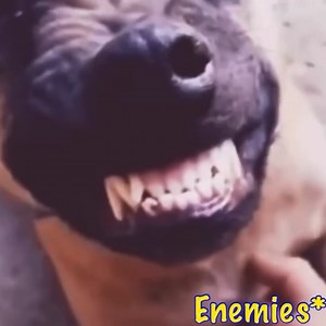 Boot prank sigma rules 999 memes 😂😂 #pubg #pubgmobile | Saji Gaming