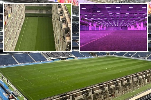 Football stadium looks unrecognisable with four-storey underground greenhouse