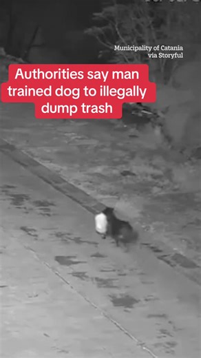 Man Teaches Dog to Illegally Dump Trash