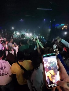 Biggest Dog Involved 🐾 | BigWalkDog