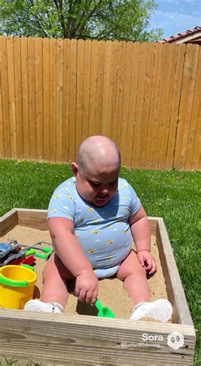 Funny Sandbox Cat Turds Compilation